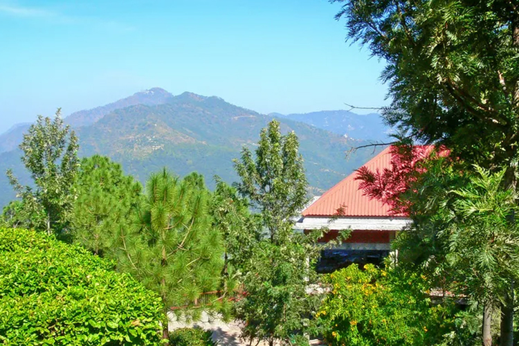  Stix N Stones Home Stay Kufri